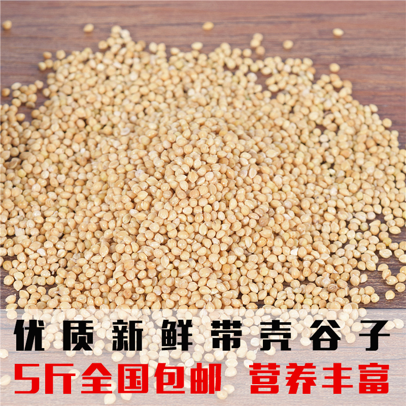 鸟粮鸟食带壳谷子黄谷子小米饲料虎皮牡丹鹦鹉250克一件5斤包邮