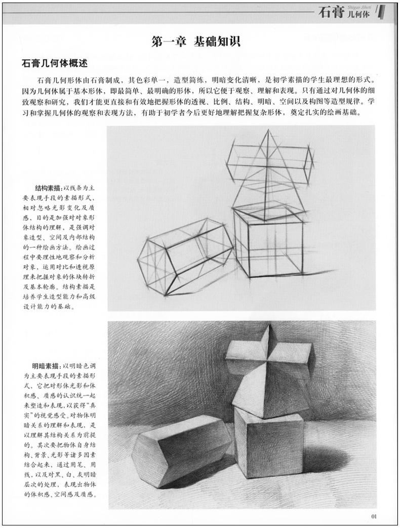 青少年美术技法辅导丛书初中高生美术培训教材艺术学生考试书素描书