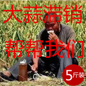 5斤装 新蒜头 2017新鲜大蒜头低价 干蒜 包邮 永强果园白皮干蒜