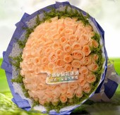 香槟玫瑰99朵高档韩式花束生日纪念日女人节鲜花求婚道歉北京送花