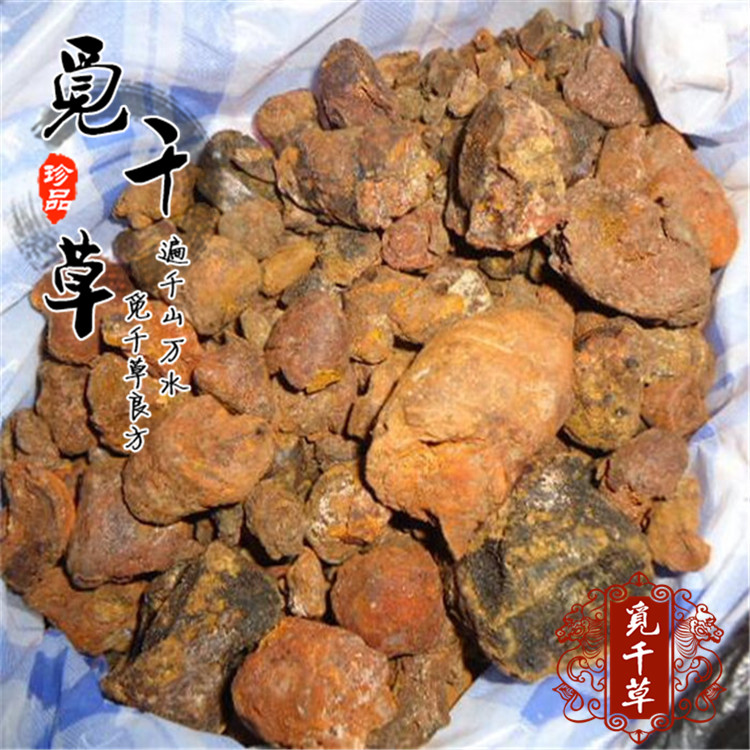 纯天然牛黄 纯正牛胆黄 牛结石 100%干货1克/瓶 包检验正品包邮