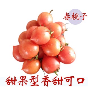 ̨ʴҷӣɿڷת