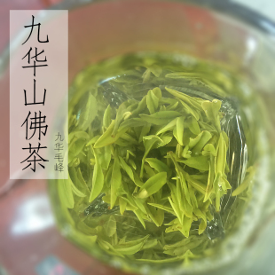 广东特产特级炒青新春茶英德绿茶茶叶英州一号礼品盒罐装特价包邮