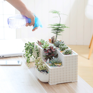 桌面组合多肉小花盆