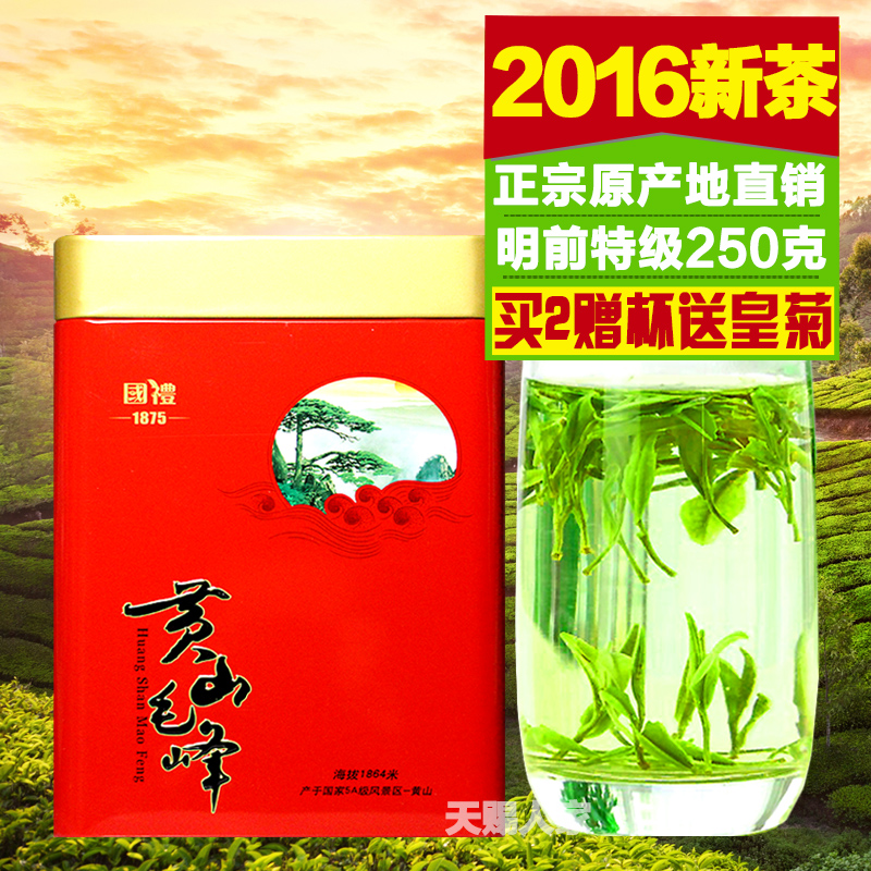 天天特价2016新茶叶春茶高山绿茶安徽毛尖明前黄山毛峰特级250克