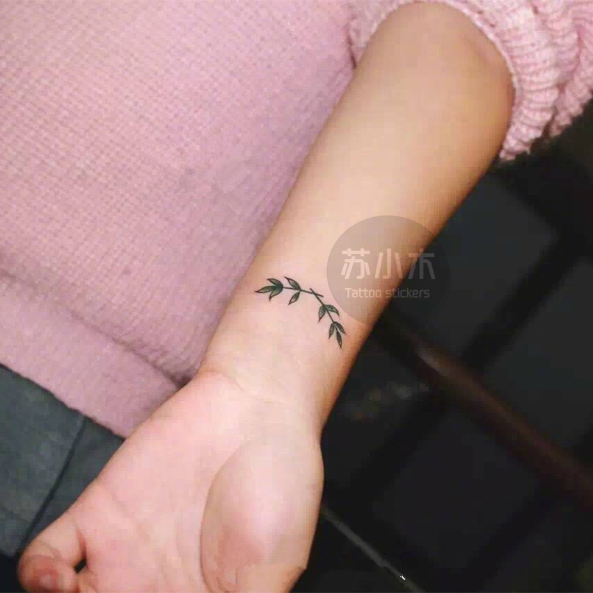 苏小木 tattoo独家手绘 叶子橄榄枝 防水纹身贴 男女手臂持久刺青