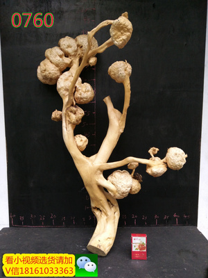 天然树根摆件树瘤根雕刻实木疙瘩根艺装饰品 
