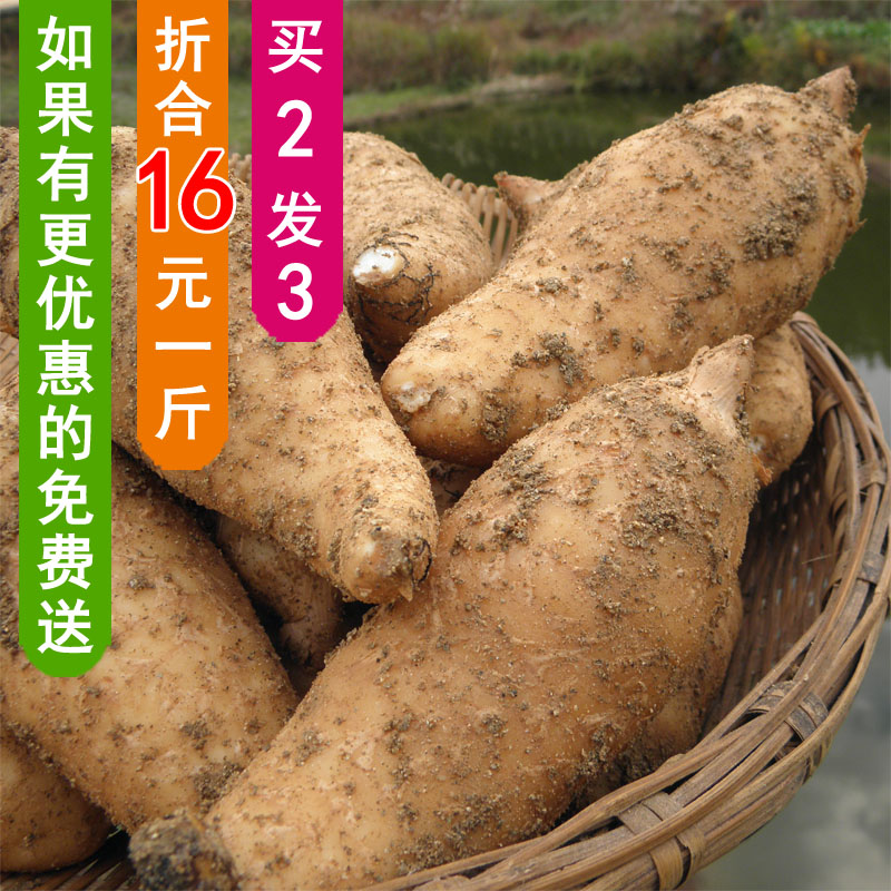[买2送1]新鲜天麻野生天麻冬麻 鲜天麻炖汤效果好2016年新货 包邮