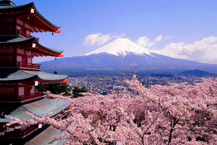 富士山成人1000片木质拼图2000益智唯美风景日本风光樱花进口品质