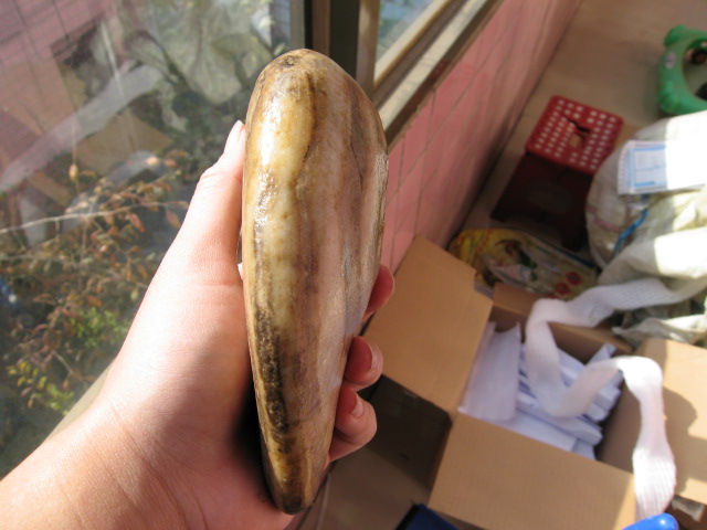 保定唐河彩玉 唐河彩石和田玉籽料原石老皮观赏石雕刻精品摆件