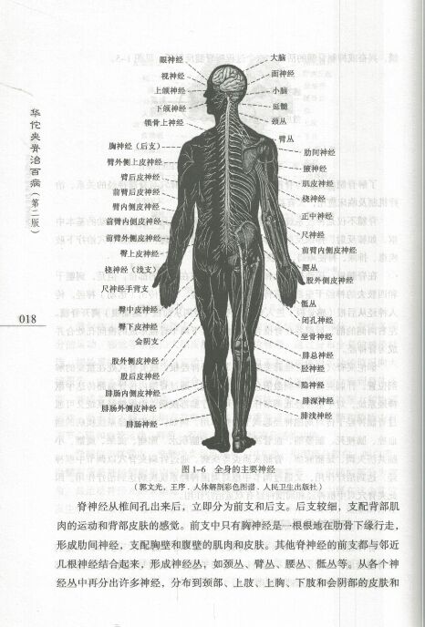 华佗夹脊治百病 第二版