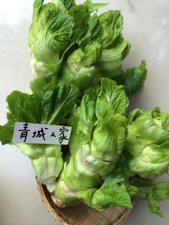 四川青城蔬菜新鲜脆嫩抱儿菜母子娃娃菜抱子带母泡菜全店五斤包邮_双