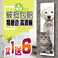 包邮 穿衣镜壁挂镜子全身试衣镜衣柜粘贴浴室舞蹈落地镜宿舍梳妆镜