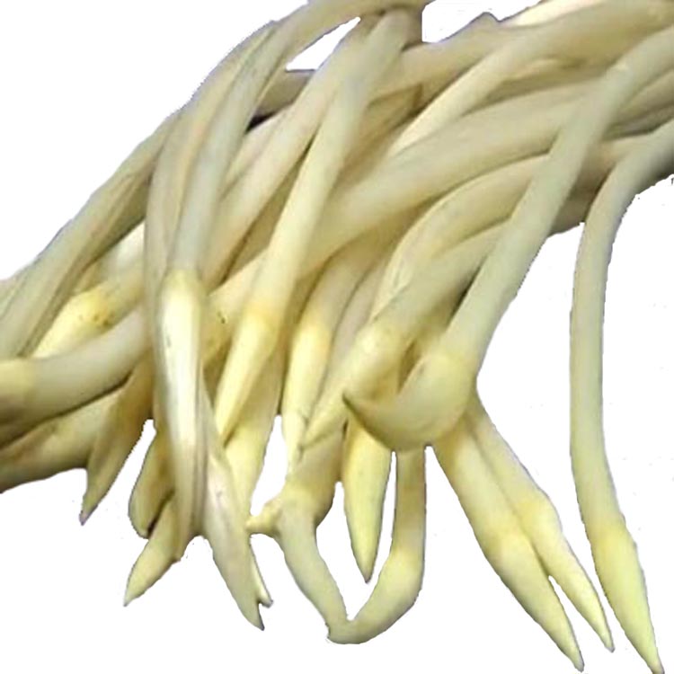 زźź  źźֲַ߲3