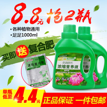 德沃多植物通用型营养液土水培花卉盆栽肥料花肥叶面肥浓缩营养液