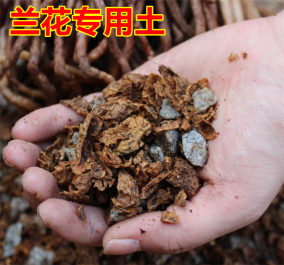 正品[君子兰土]君子兰土的配制评测 君子兰营养