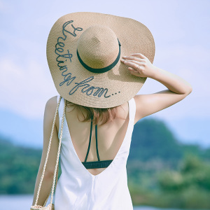 刘涛欢乐颂2安迪同款草帽