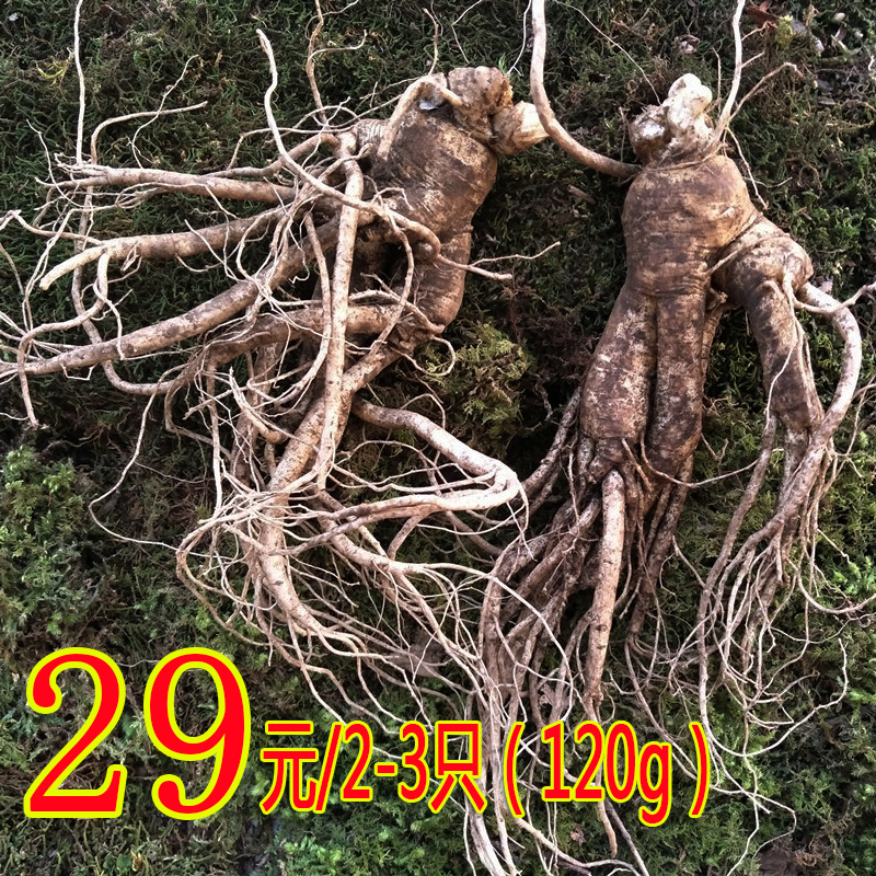 新鲜大园参长白山人参6年山地泡酒参带土东北林下生晒白参片包邮