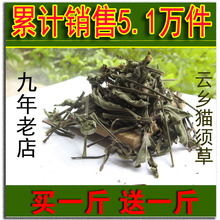 西双版纳2017新产 买1斤送1斤 猫须草 云南云乡