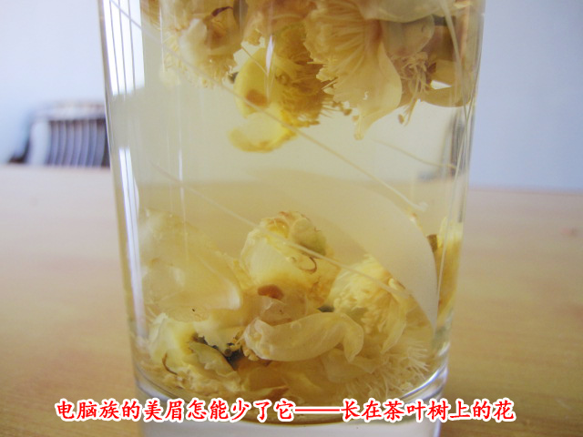 益龙芳茶树花茶开化龙顶绿茶树上生长的花炒制而成 清香甘甜包邮