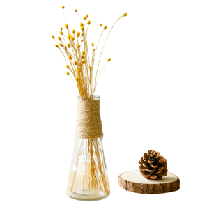 造生活满天星干花