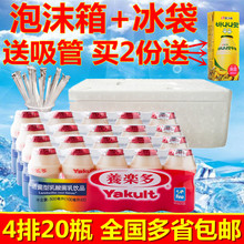养肠胃全国多省 养乐多活性乳酸菌饮品100ml 包邮 20瓶 新日期