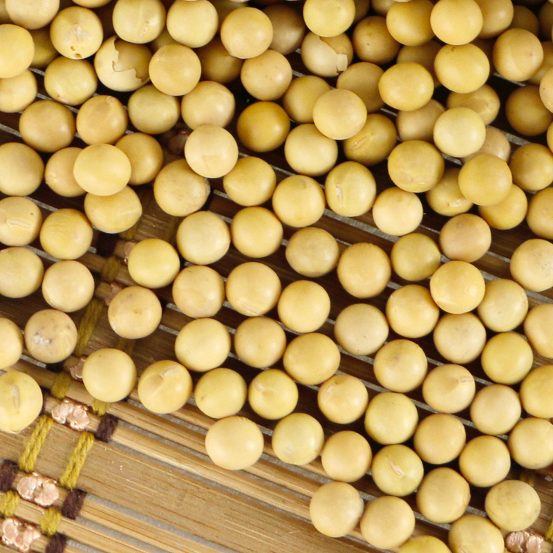 正品[大豆分离蛋白]大豆分离蛋白用途评测 大豆