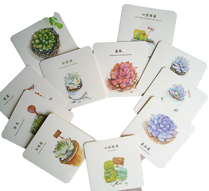 满25包邮 韩版小卡多肉植物卡片万用卡 贺卡生日创意简洁送朋友