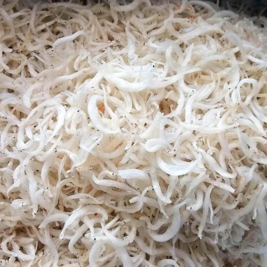 宁波特产新货野生淡水干小银鱼250g银鱼干面条鱼海鲜干货限区包邮