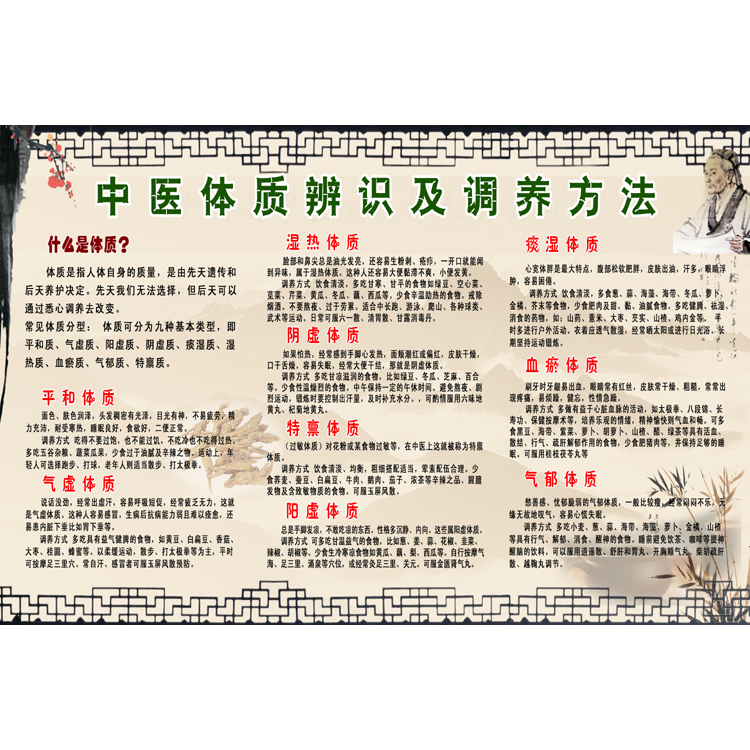 中医养生海报中医体质辨识的九种体质挂图中医体质辨识及调养方法
