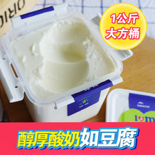 新鲜 1kg 包邮 大桶家庭装 新疆天润润康浓缩原味酸奶2斤