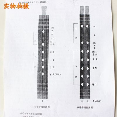 精品专业乌木管子e调f调小g调管子乐器送指法表/送管子包/送哨子