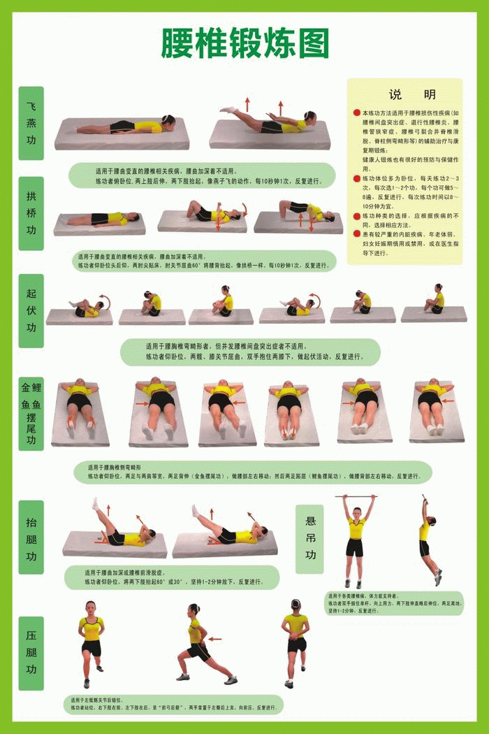 腰椎锻炼图 腰椎操挂图 预防腰椎病挂图 0.8x1.2米 包邮