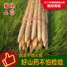 限区 包邮 正宗河南焦作温县特产新鲜铁杆怀淮山药 国栋铁棍山药