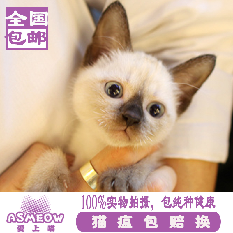 正品[暹罗连体人之谜]暹罗连体男孩评测 暹罗双