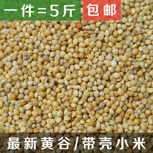 黄谷子带壳小米粟谷 虎皮玄凤牡丹鹦鹉 文鸟鸟粮鸟食饲料1件包邮