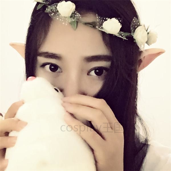 正品[杀生丸海报]杀生丸评测 穿越之爱上杀生丸