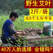 陈艾草艾叶草 干艾草叶泡脚包泡澡祛湿暖宫艾条艾绒艾柱 野生艾叶
