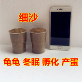 黄沙河陆龟深水龟冬眠产蛋沙无菌沙营养沙乌龟沙孵化免洗专用细沙