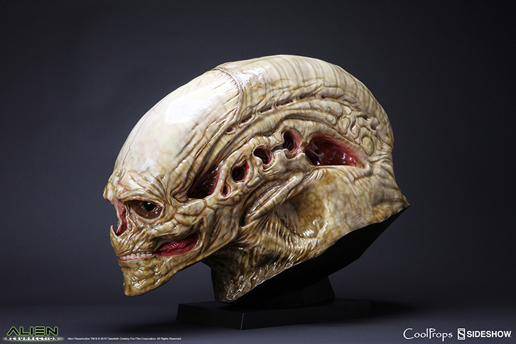 coolprops x sideshow 902730 异形4 逆种异形 1/1 头颅