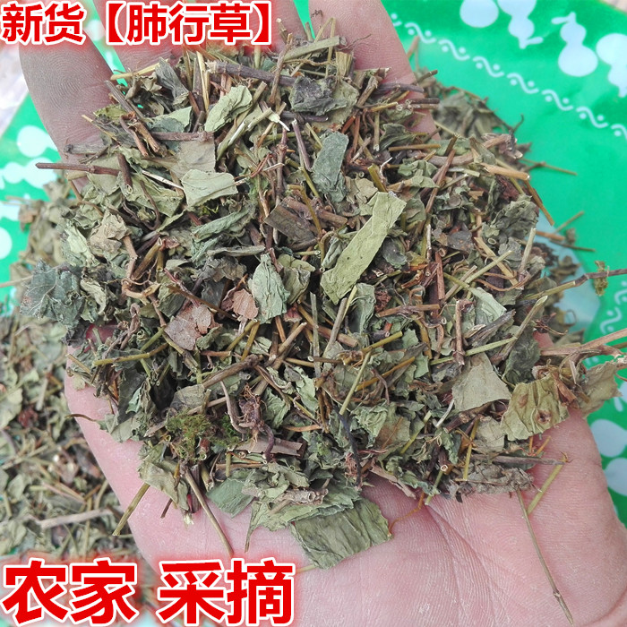 肺形草 中药材 肺行草 铁交怀 蝴蝶草 山蝴 金丝蝴蝶