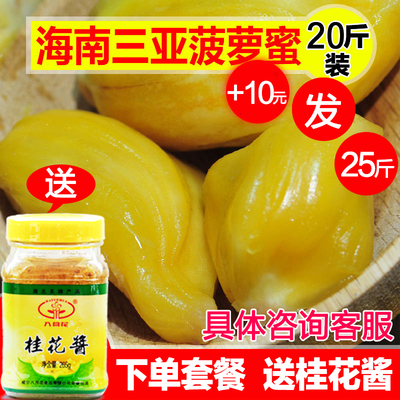 呀诺达海南特产菠萝蜜新鲜热带水果当季时令生