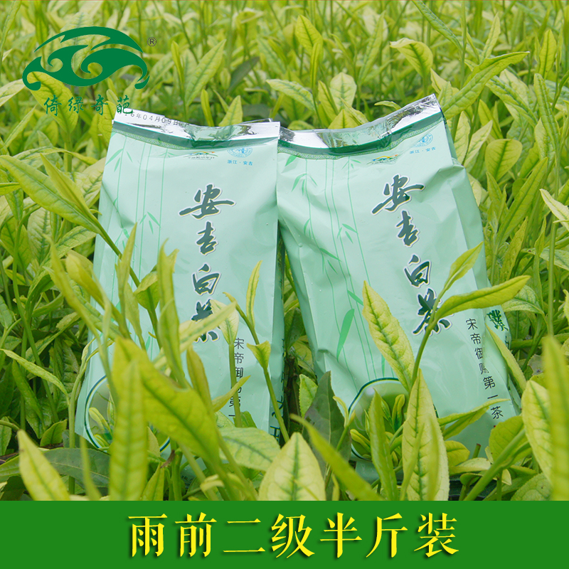 正宗安吉白茶250g简易袋装半斤装2016年新茶雨前二级春茶