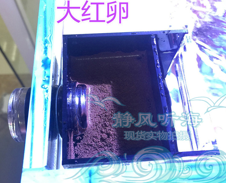 缸内单仓全天持续自动出虾式 丰年虾孵化器 吸盘版