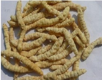 中药材  草石蚕 泽兰根 地蚕 土冬虫草 白冬虫草 白虫草35元一斤