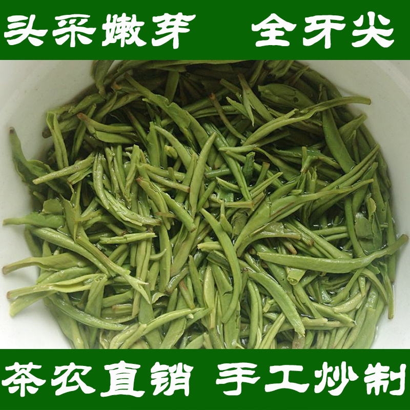 信阳毛尖2016新茶散装自产自销明前特级嫩芽茶叶250g手工绿茶春茶