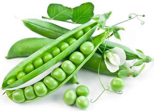 豌豆种子 食荚豌豆种子 家庭种豆 极耐寒 生长迅速蔬菜种子 60粒