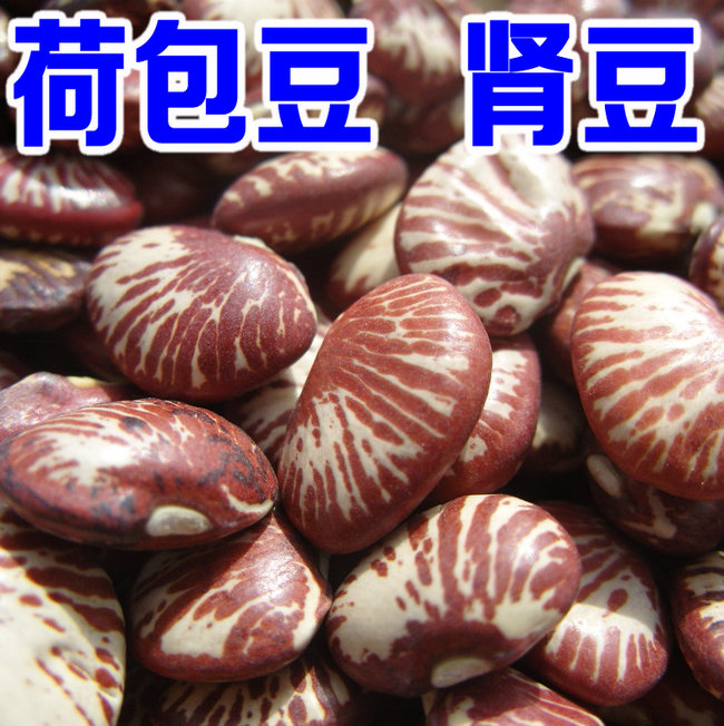 5斤包邮荷包豆 斑马豆 肾豆 祛湿豆 皇帝豆 祛湿.