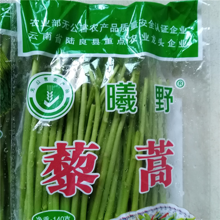 水蒿和艾蒿的区别图片
