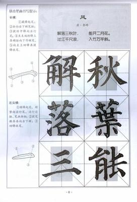 含笔画教程 楷书新手入门 毛笔字帖入门练习 成人书法练习字帖 内有